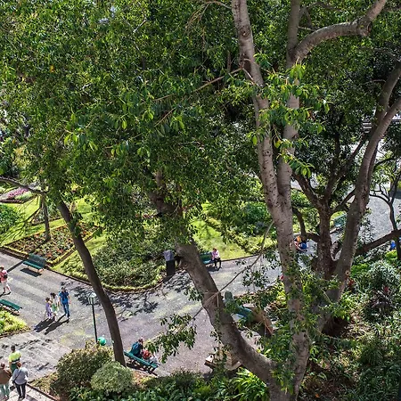 Arcadas By Mlv Daire Funchal