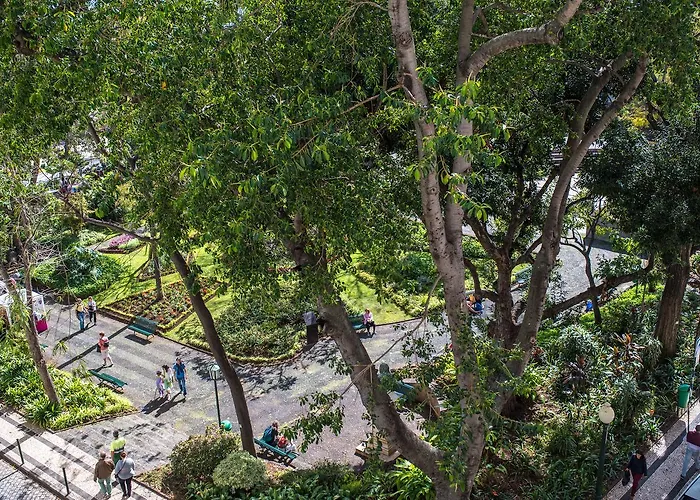 Arcadas By Mlv Lägenhet Funchal (Madeira)